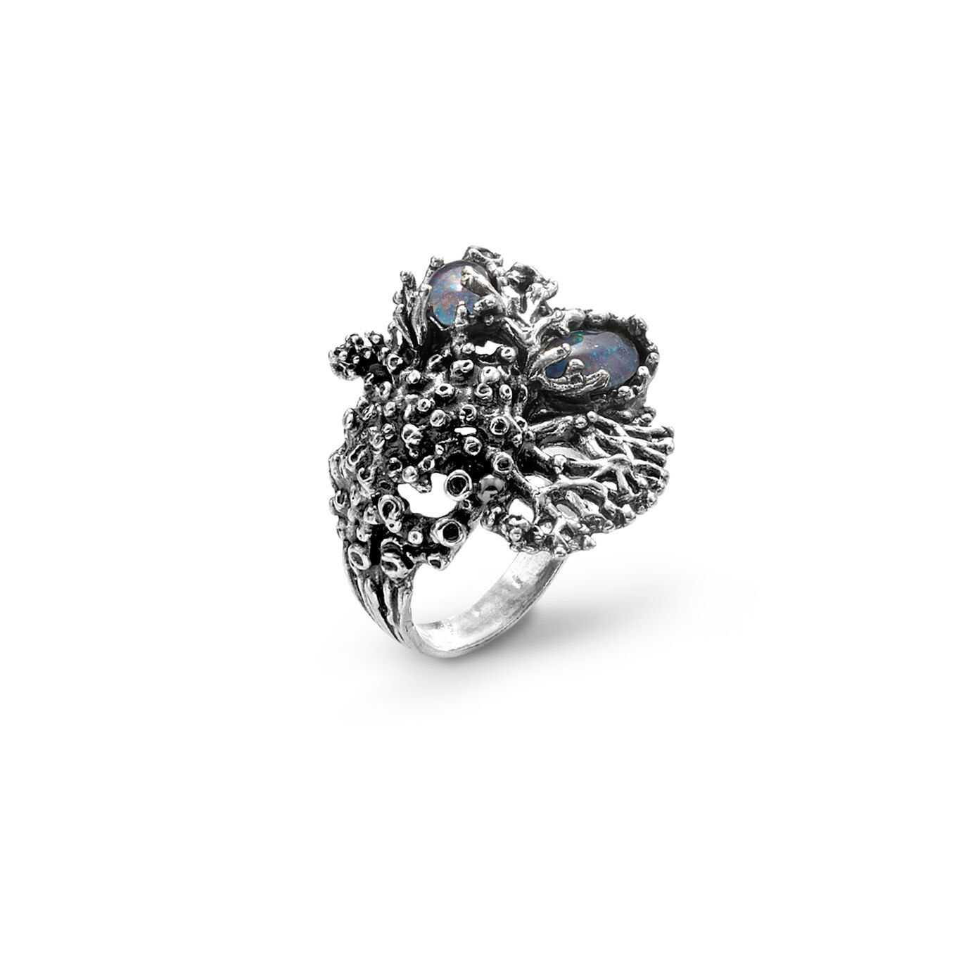 Anello Nautilus