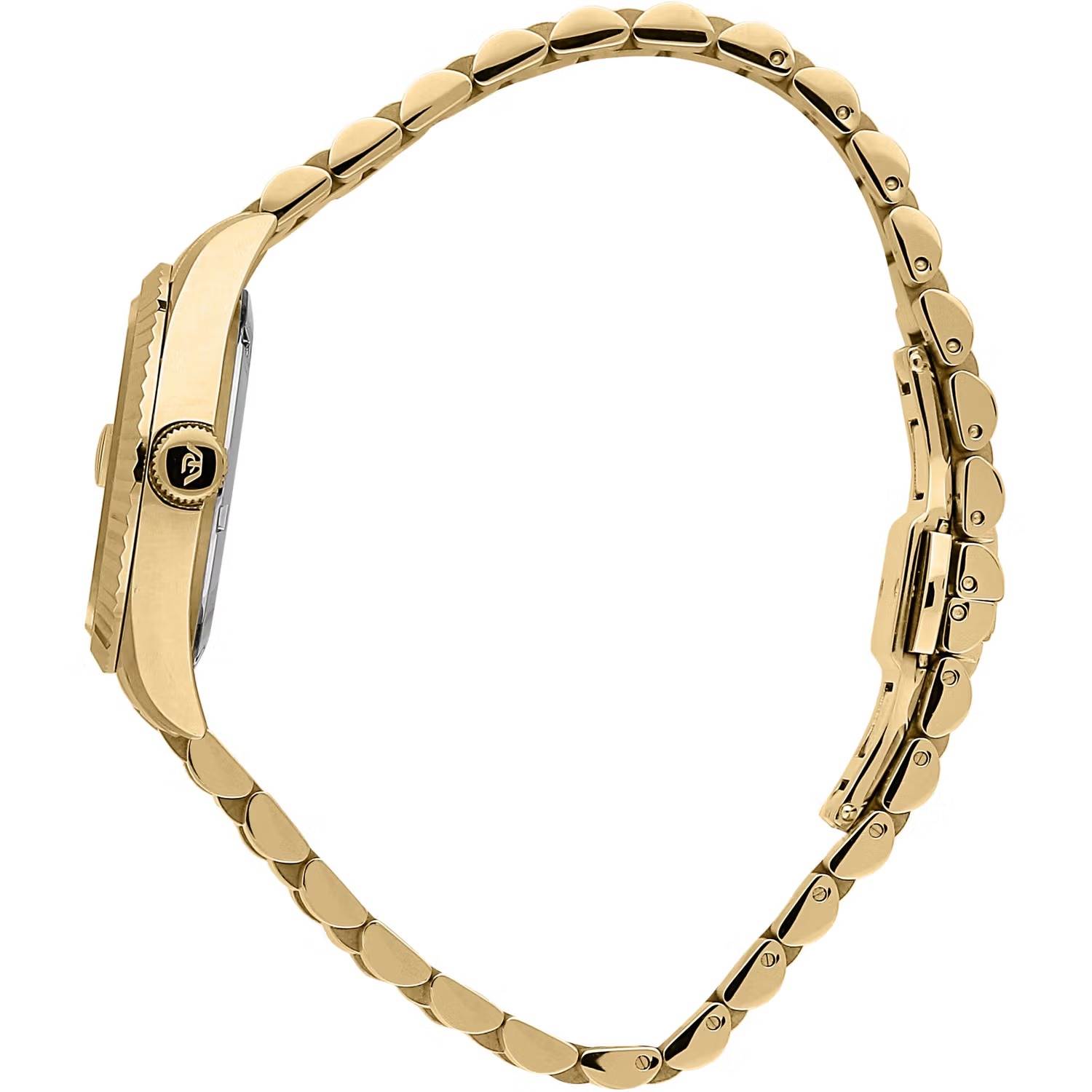 Philip Watch Caribe - R8253597591 Philip Watch Caribe - R8253597591