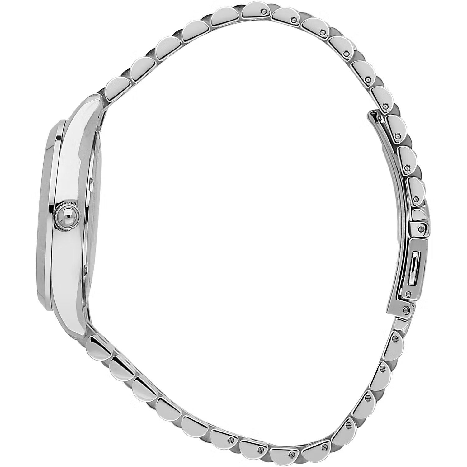 Philip Watch Caribe - R8253208517 Philip Watch Caribe - R8253208517