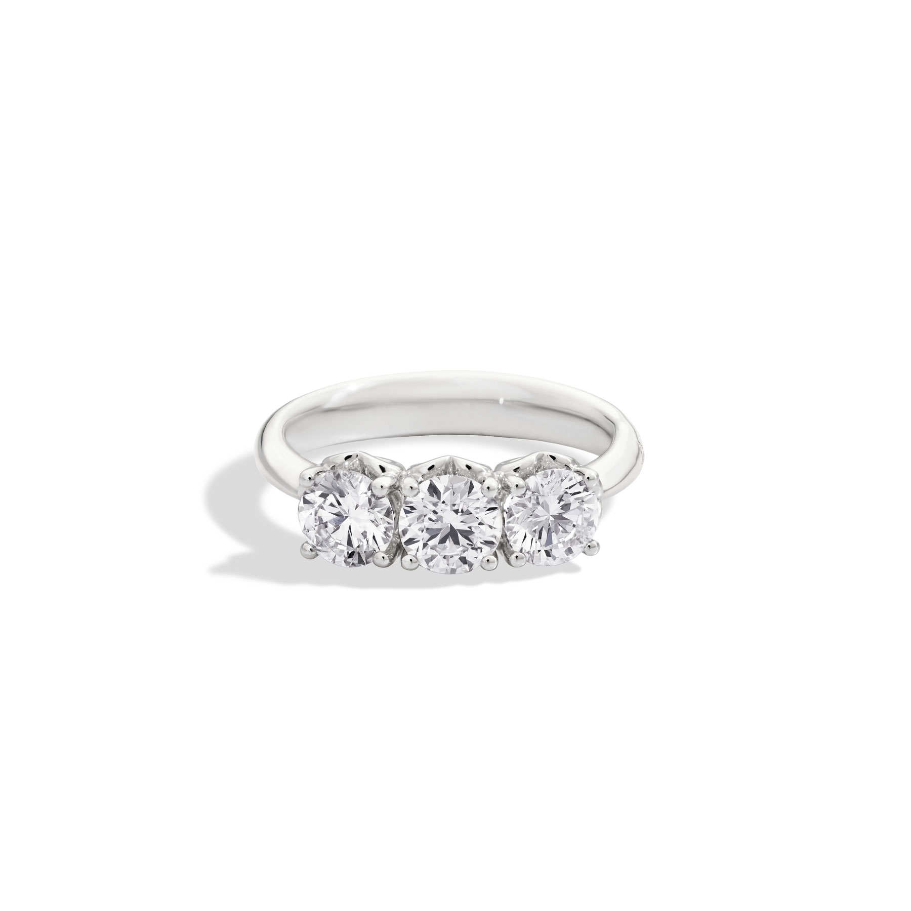 Anello Trilogy Anniversary
